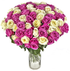 bouquet of pink roses in vase on white background