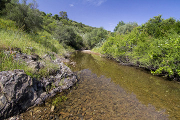 Fototapeta na wymiar countryside river flowing in the Algarve interior