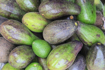 Avocado in market