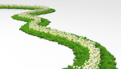 grassy path with flowers
