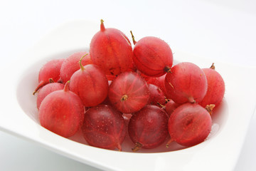 Gros plan sur les groseilles à maquereau