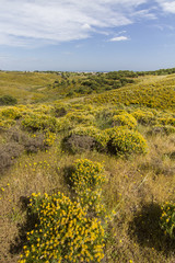 Beautiful spring view of Algarve countryside hills