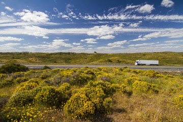 Beautiful spring view of Algarve countryside hills © Mauro Rodrigues