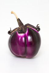 Eggplant