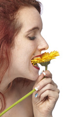 Frau beißt in eine gelbe Gerbera