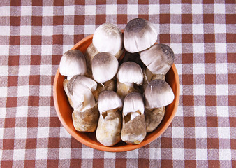 Straw mushroom in clay bowl on table