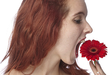 Frau beißt in eine rote Gerbera