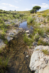 Fototapeta na wymiar countryside stream of water located in Portugal.