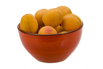 Yellow bright apricot