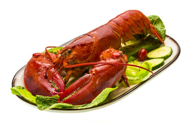 Large Lobster