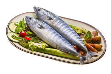 Fresh Atlanticmackerel