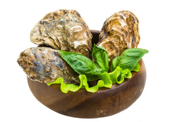 Fresh oyster