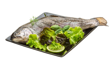 Fresh raw rainbow trout