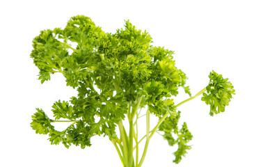 parsley isolated