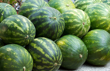 watermelon on sale