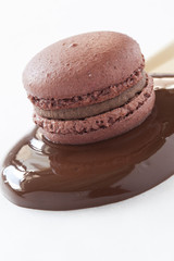 chocolate macaroon on a spoon