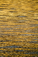 calm sea waves on the sunset