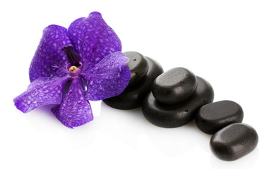 Fototapeta na wymiar Spa stones and purple flower, isolated on white