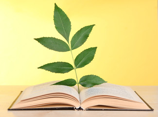 Book with plant on table on yellow background