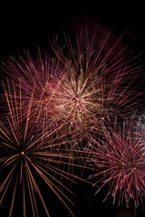 Obraz premium Fireworks display