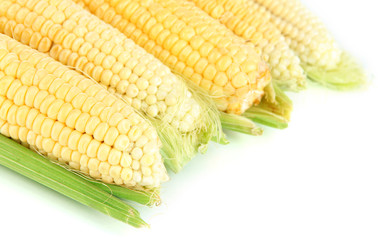 Fresh corn vegetable isolated on white