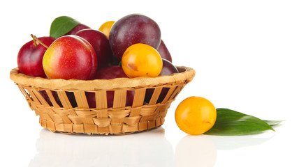 Ripe plums in basket isolated on white