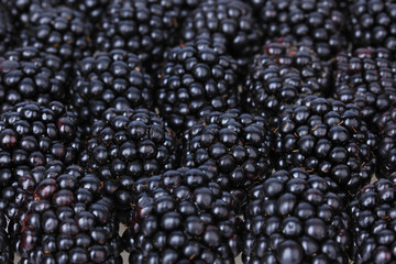 Sweet blackberries close-up