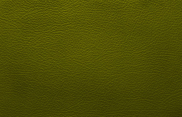 green leather texture