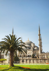 Fototapeta na wymiar Sultan Ahmed Mosque (Blue Mosque) in Istanbul