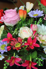 colorful rose flower in watering cans