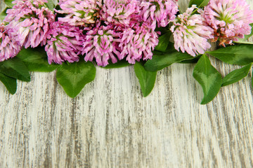 Fototapeta na wymiar Clover flowers on wooden background