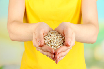 Wheat grain in female hands on natural background