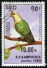 stamp printed in Cambodia shows Poicephalus robustus