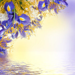 Bouquet of blue irises and white flowers