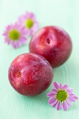 Summer plums