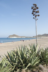 Cabo de Gata, Almeria. Andalucia,