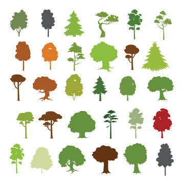Forest trees vector collection