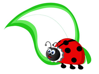 Cartoon ladybird