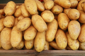 potato in market