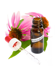 Sonnenhut (Echinacea purpurea) Fläschchen mit Tinktur