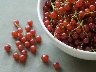 Red currants in a white bowl