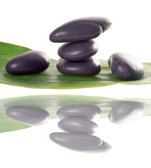Hot Stones with green leaf