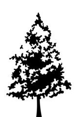 Black silhouette of tree. Vector illustration.