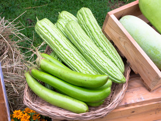 vegetables