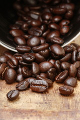 coffee beans