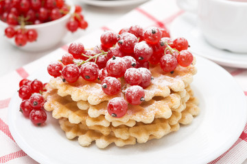 Belgian waffles with red currant with powdered sugar