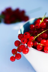 Rote Johannisbeeren