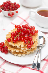 Belgian waffles with red currants on a plate, vertical