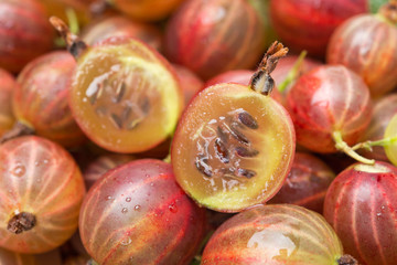 sliced berry red gooseberry close-up, selective focus