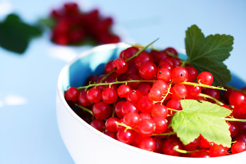 Rote Johannisbeeren